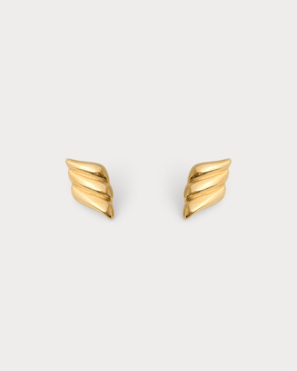 Wing Shaped  Earrings